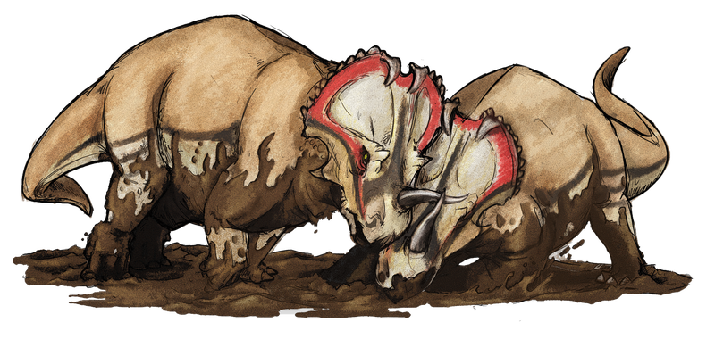 Dos Centrosaurus apertus trabados en combate. Wikimedia Commons